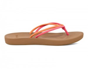 Sanuk Cosmic Sands Women Flip Flops Coral / Orange,Sanuk Philippines | BG70-2830J3